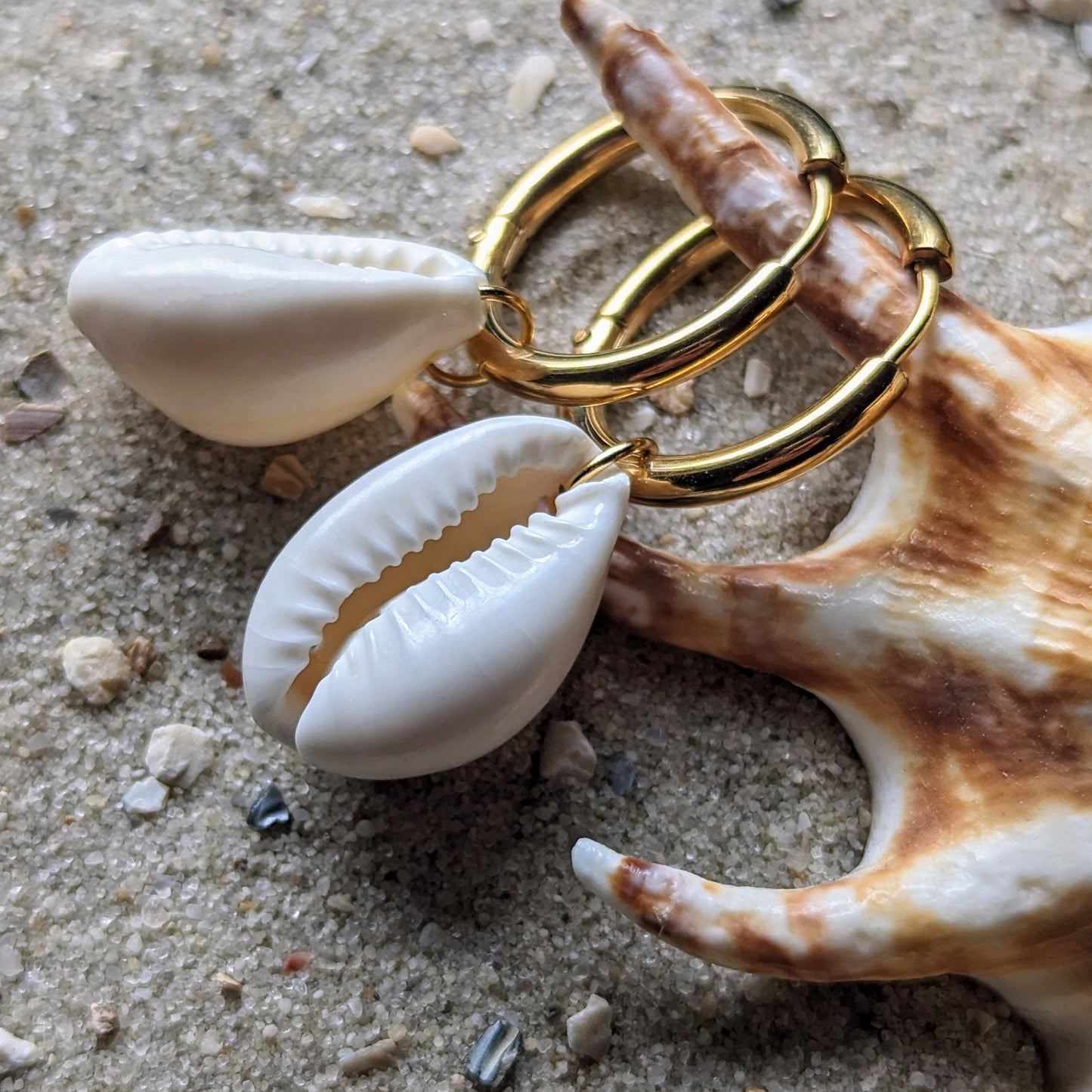 Boucles d'oreilles créoles en acier inoxydable avec coquillages cauris