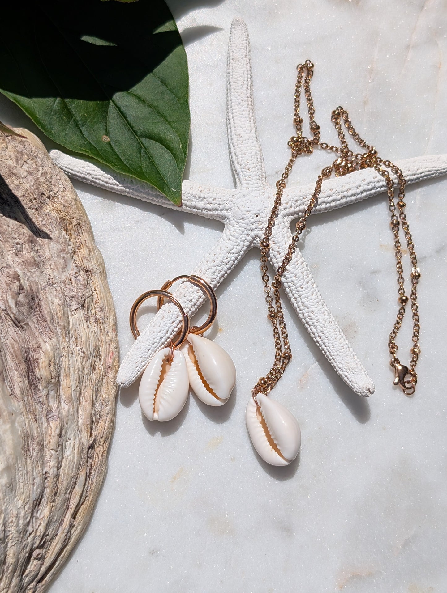 Boucles d'oreilles créoles en acier inoxydable avec coquillages cauris