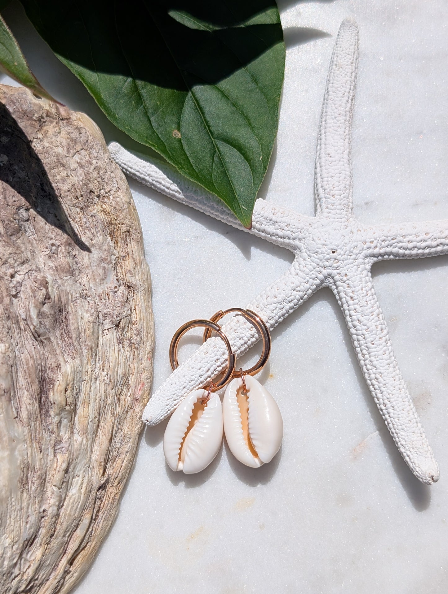 Boucles d'oreilles créoles en acier inoxydable avec coquillages cauris
