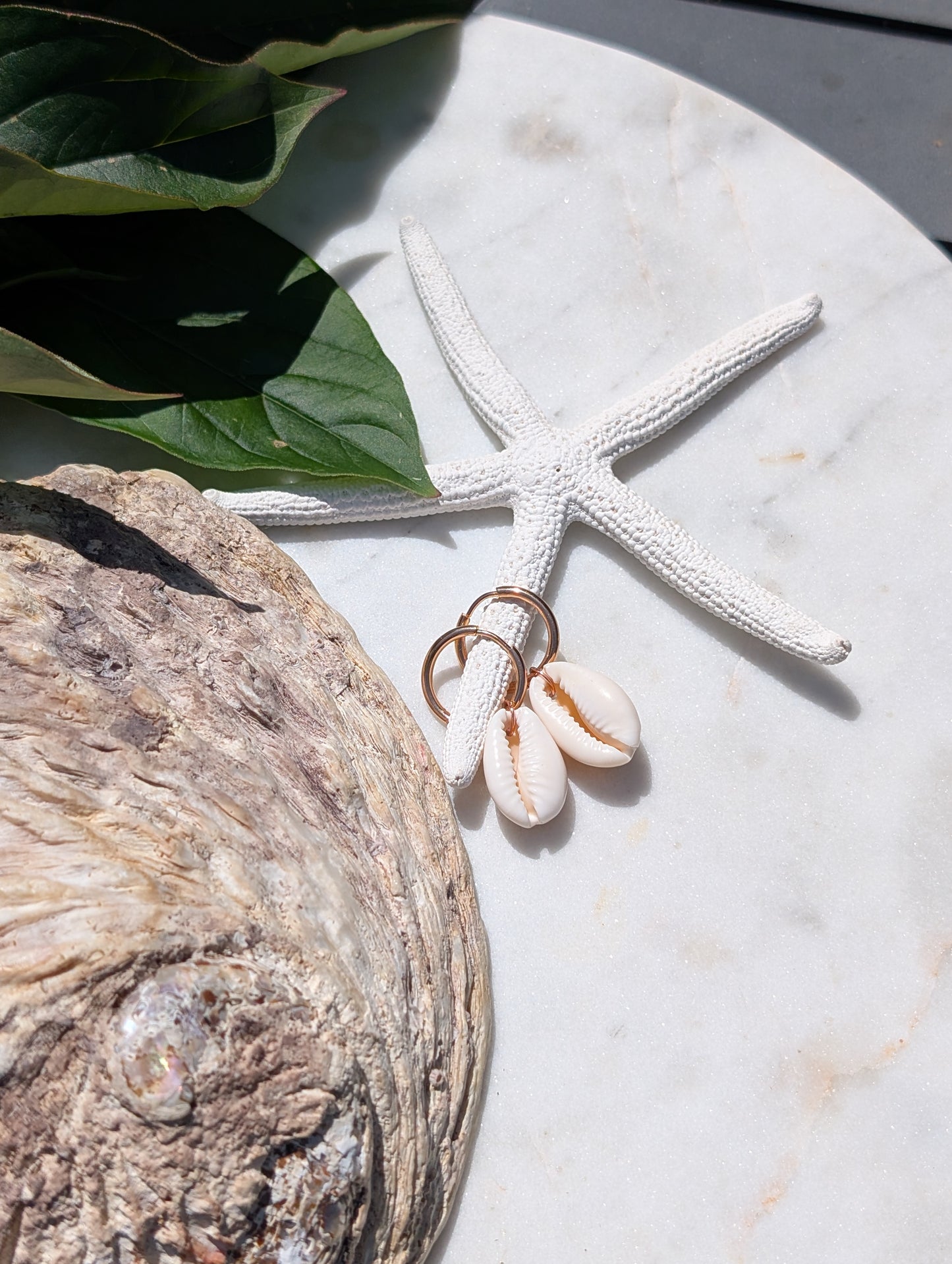 Boucles d'oreilles créoles en acier inoxydable avec coquillages cauris