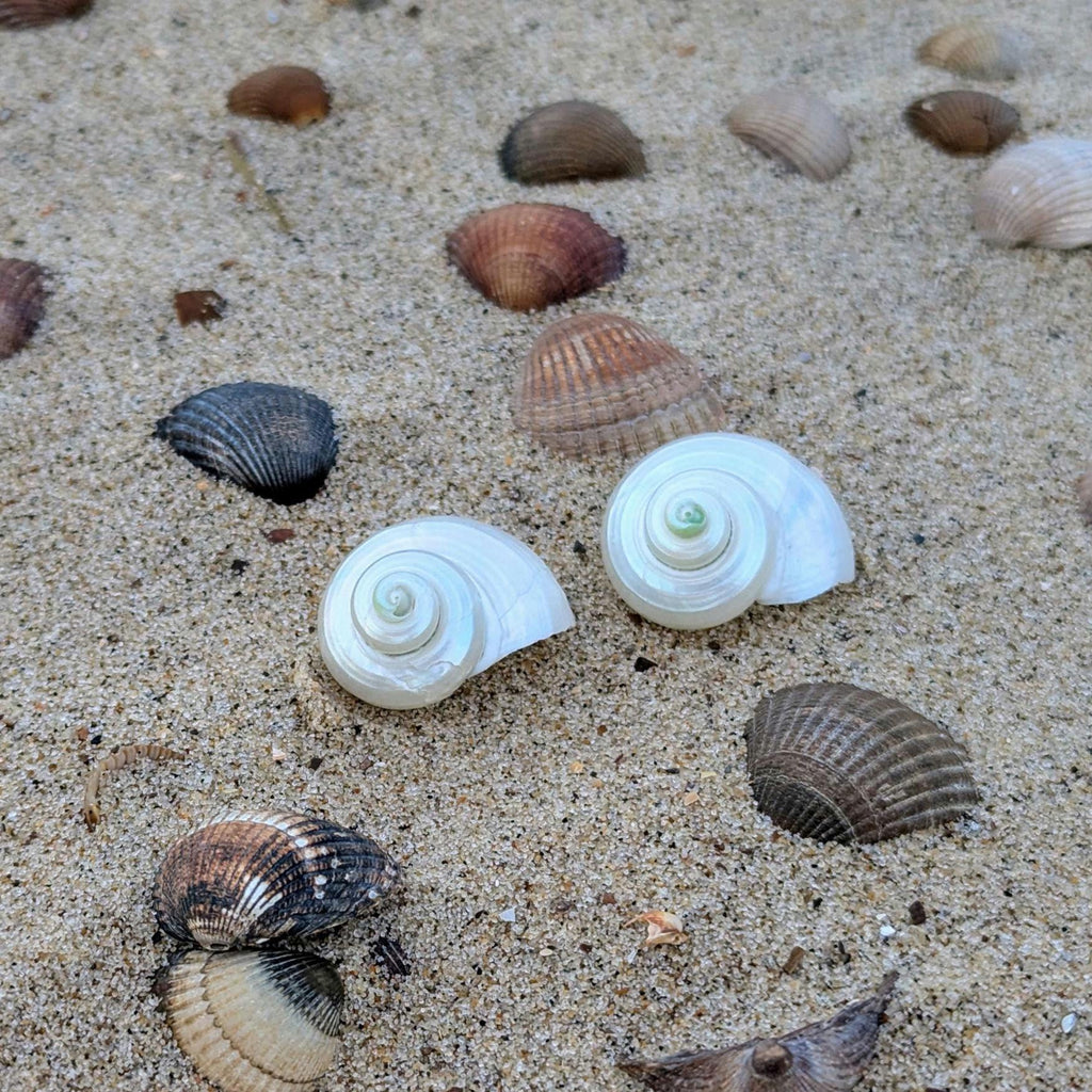 Ohrringe "Ocean Glimmer" – Schimmernde Ohrstecker aus Meeresschneckengehäusen