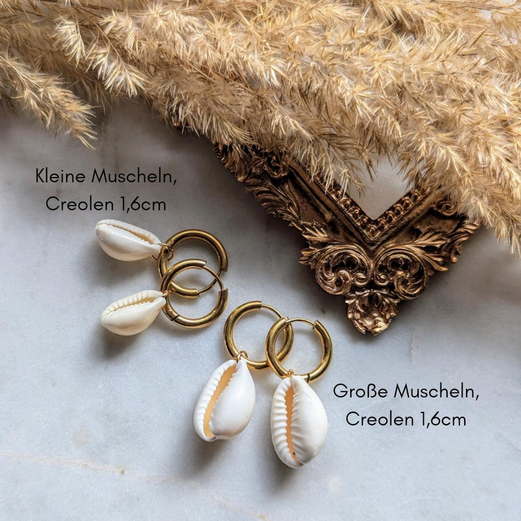 Creolen mit kleinen Kauri-Muscheln – Edelstahl-Ohrringe mit feinem Muscheldetail