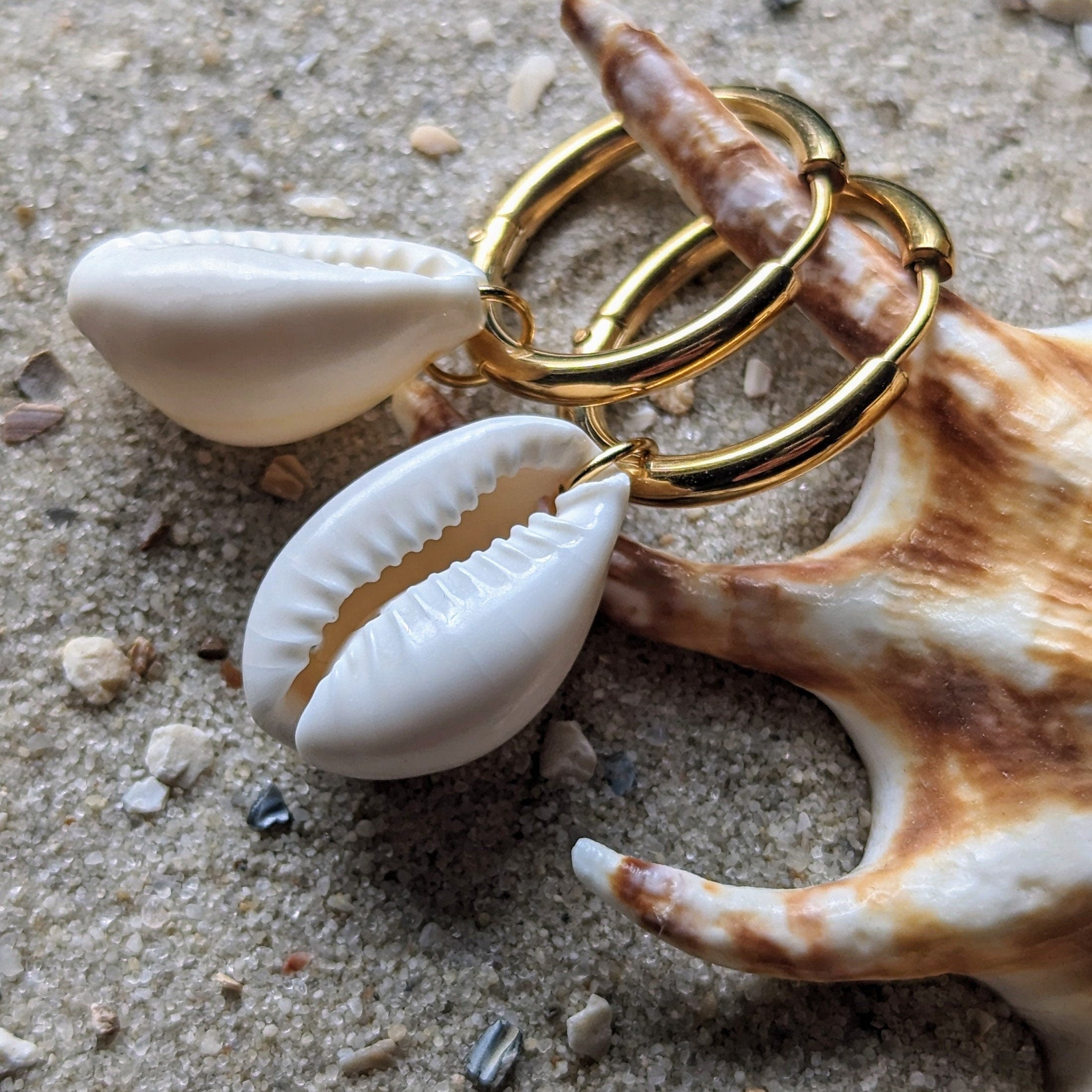 Creolen mit Kauri-Muscheln – Statement-Ohrringe aus Edelstahl