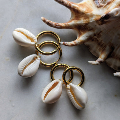 Stainless steel hoop earrings with cowrie shells