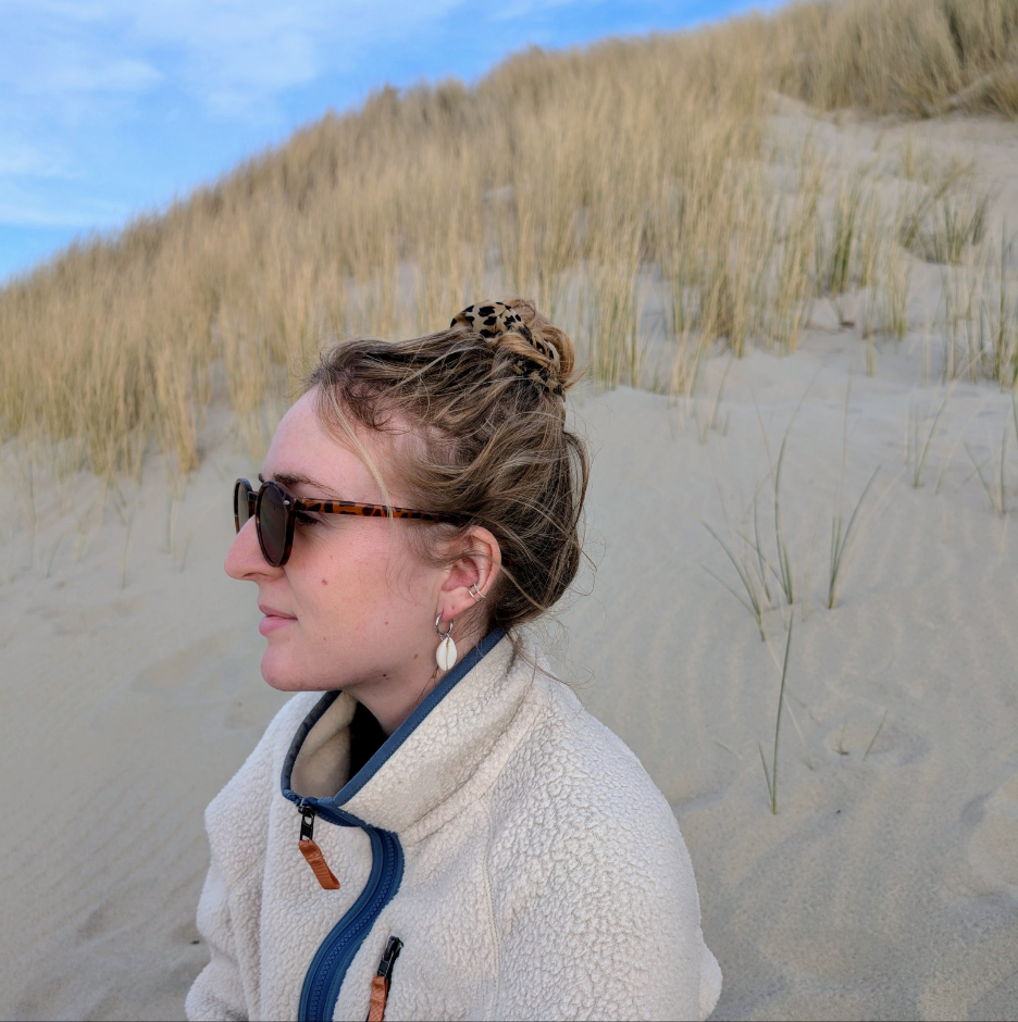 Creolen mit Kauri-Muscheln – Statement-Ohrringe aus Edelstahl