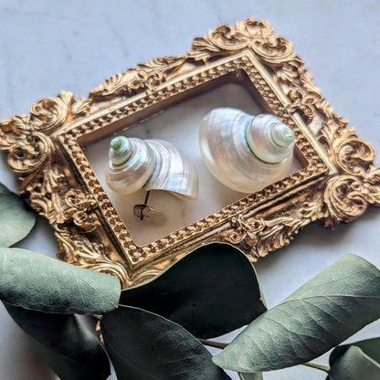 Boucles d'oreilles coquillages brillants fabriqués à partir de coquilles d'escargots de mer