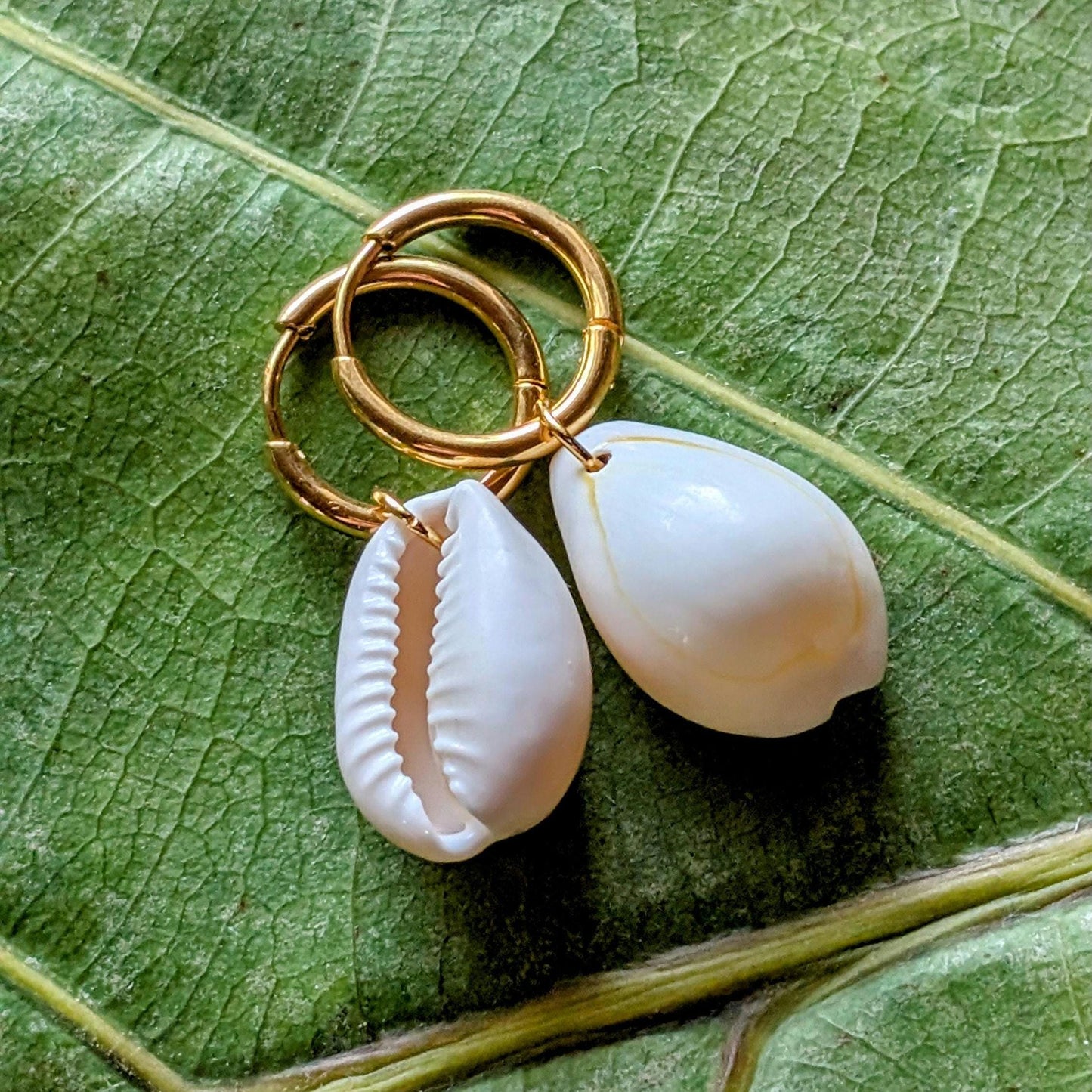 Stainless steel hoop earrings with cowrie shells