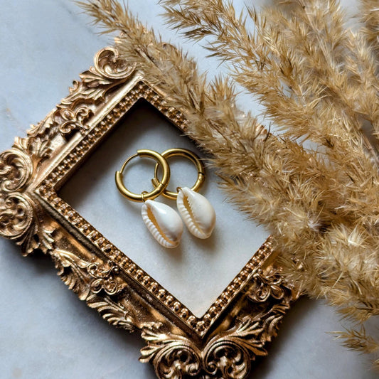 Stainless steel earrings with small cowrie shells