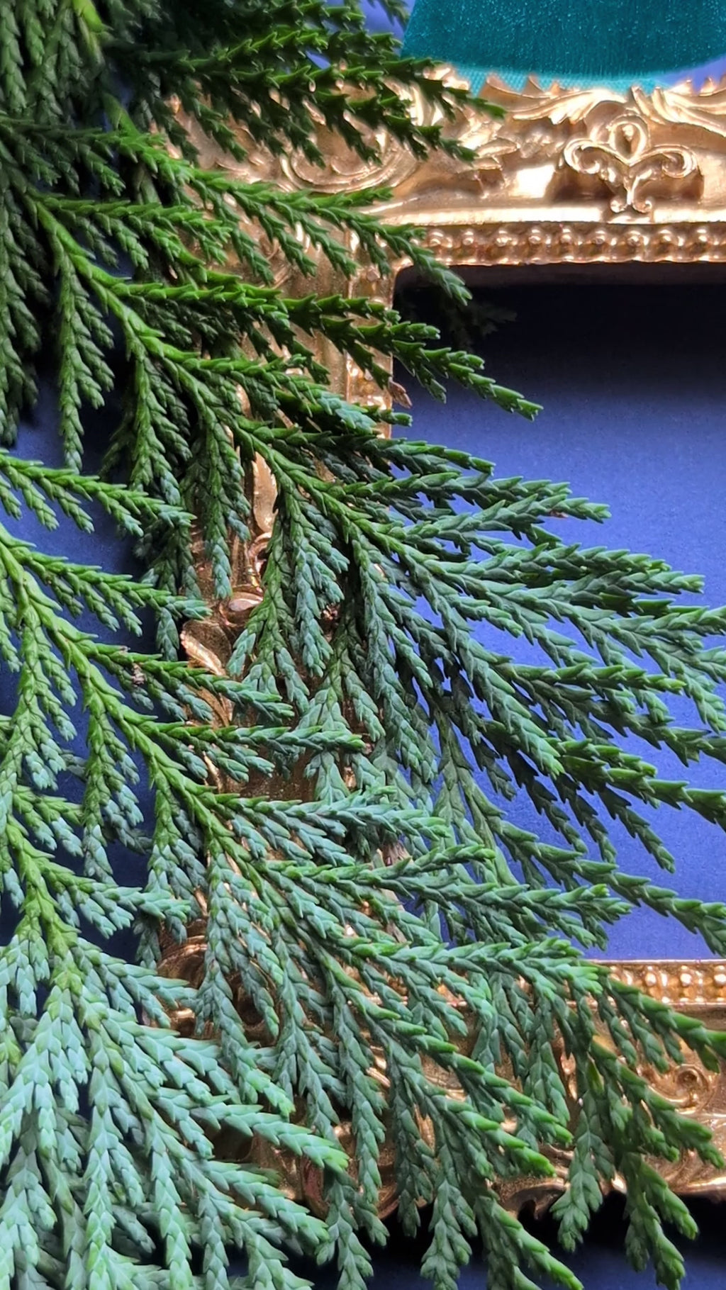 Ohrhänger Polaris - Silber & Gold mit Sternen und Tigerauge