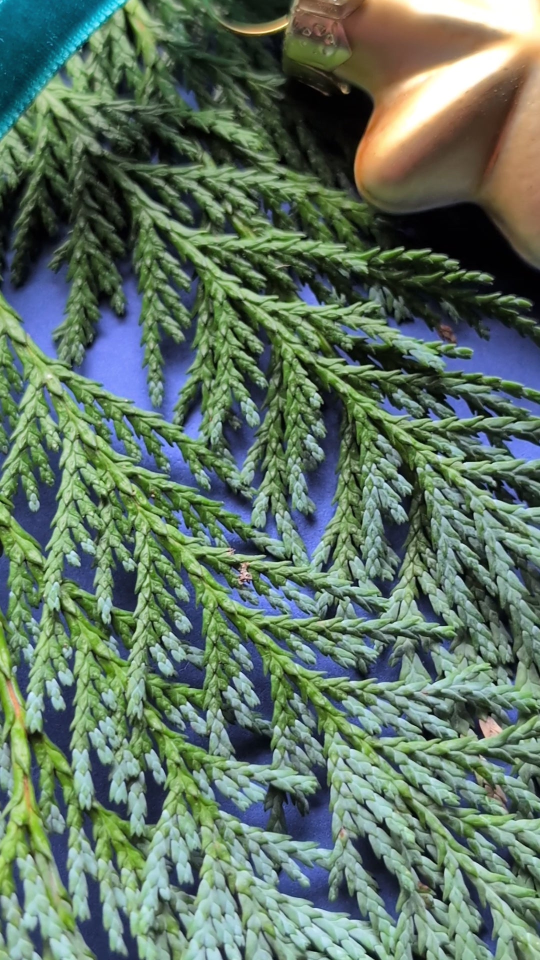 Ohrhänger "Velvet Briolettes" - Lange Ohrhänger mit Labradorit