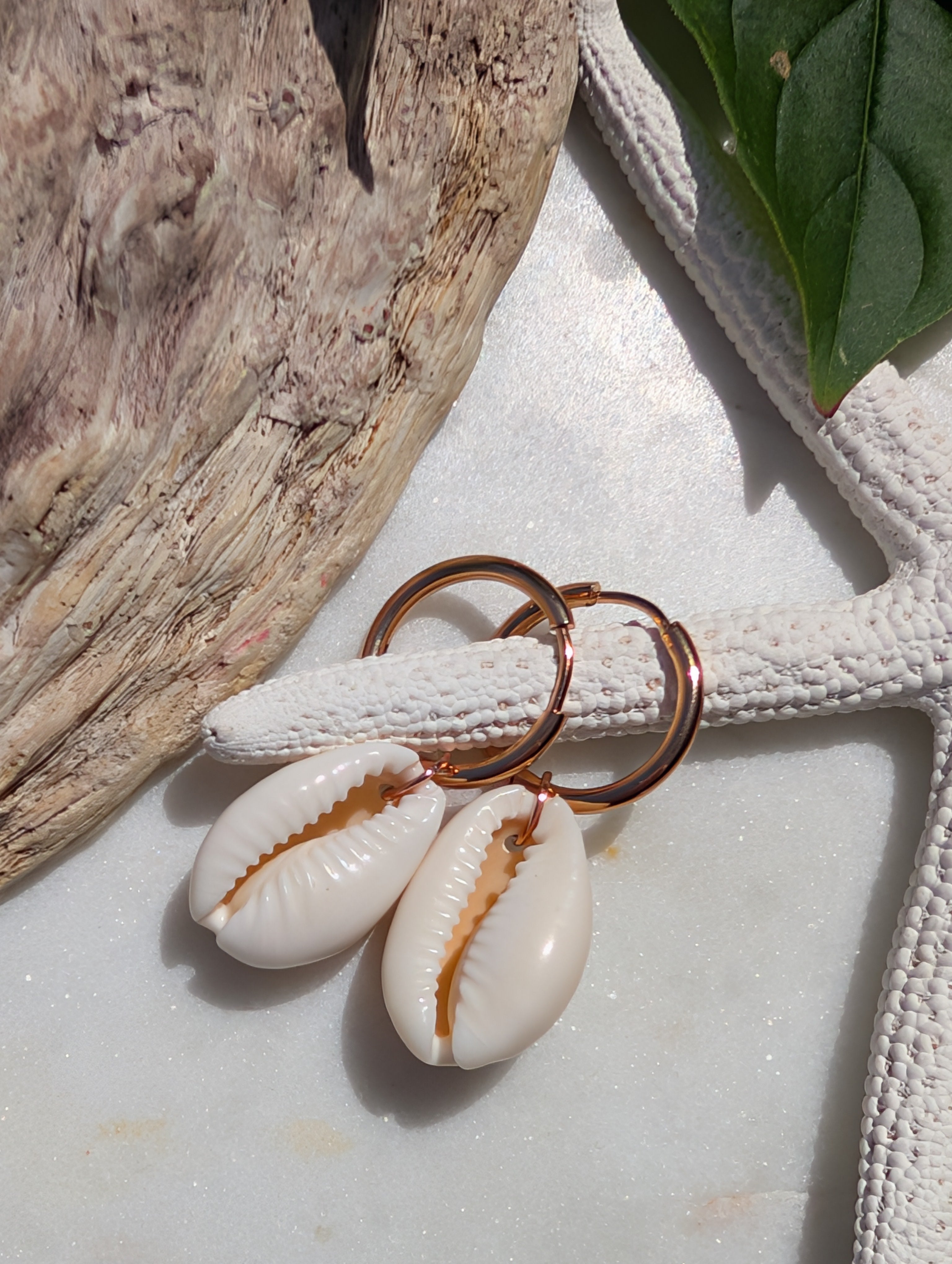 Creolen mit Kauri-Muscheln – Statement-Ohrringe aus Edelstahl