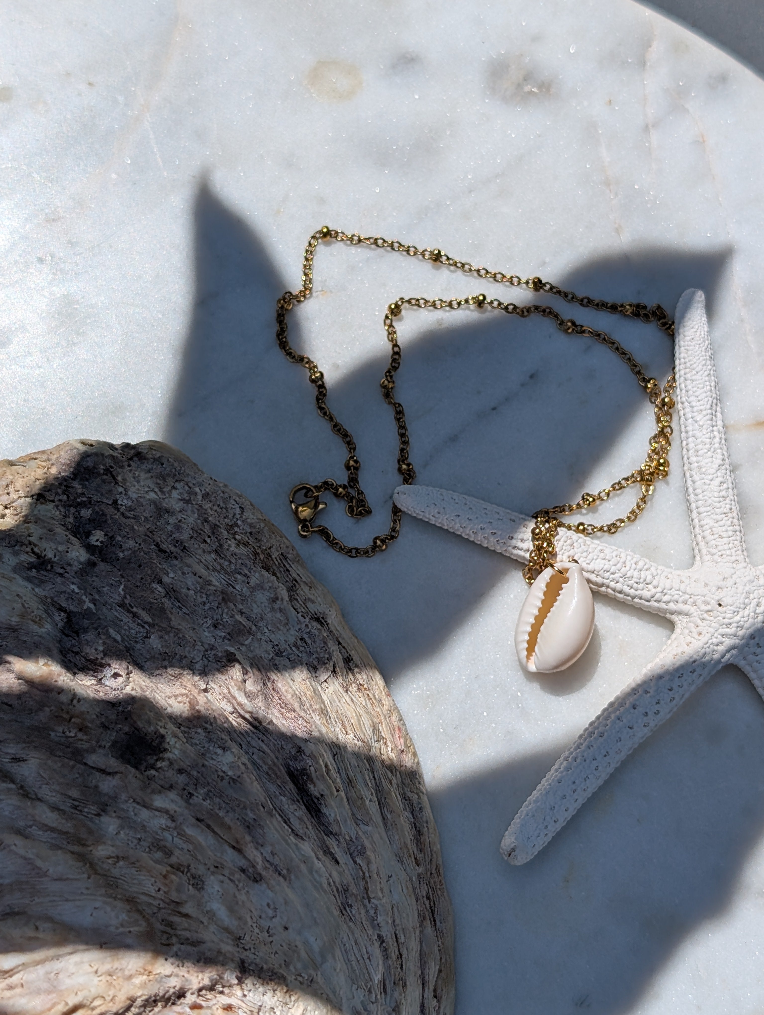 Muschelkette mit Kauri Muschel