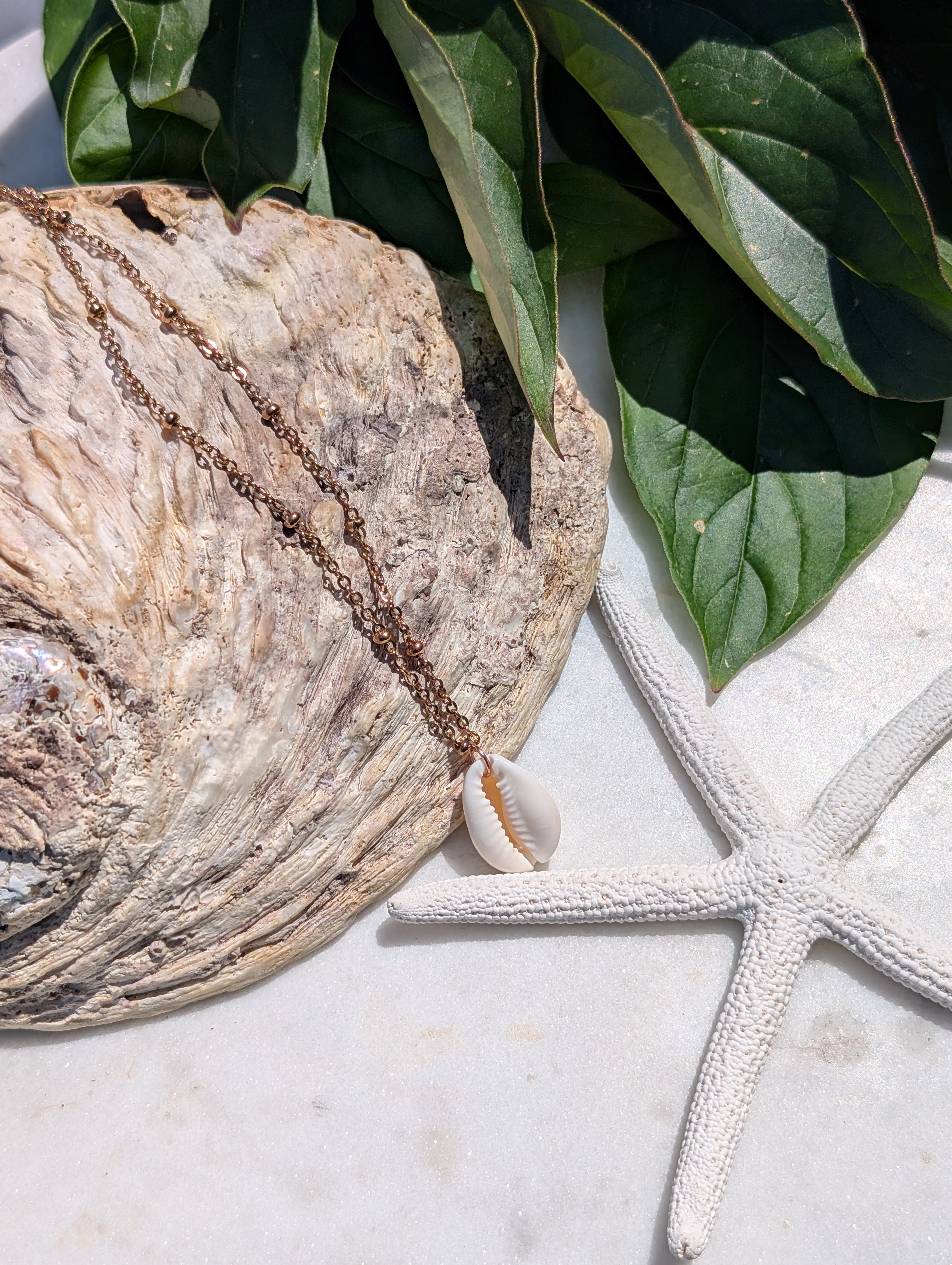 Muschelkette mit Kauri Muschel