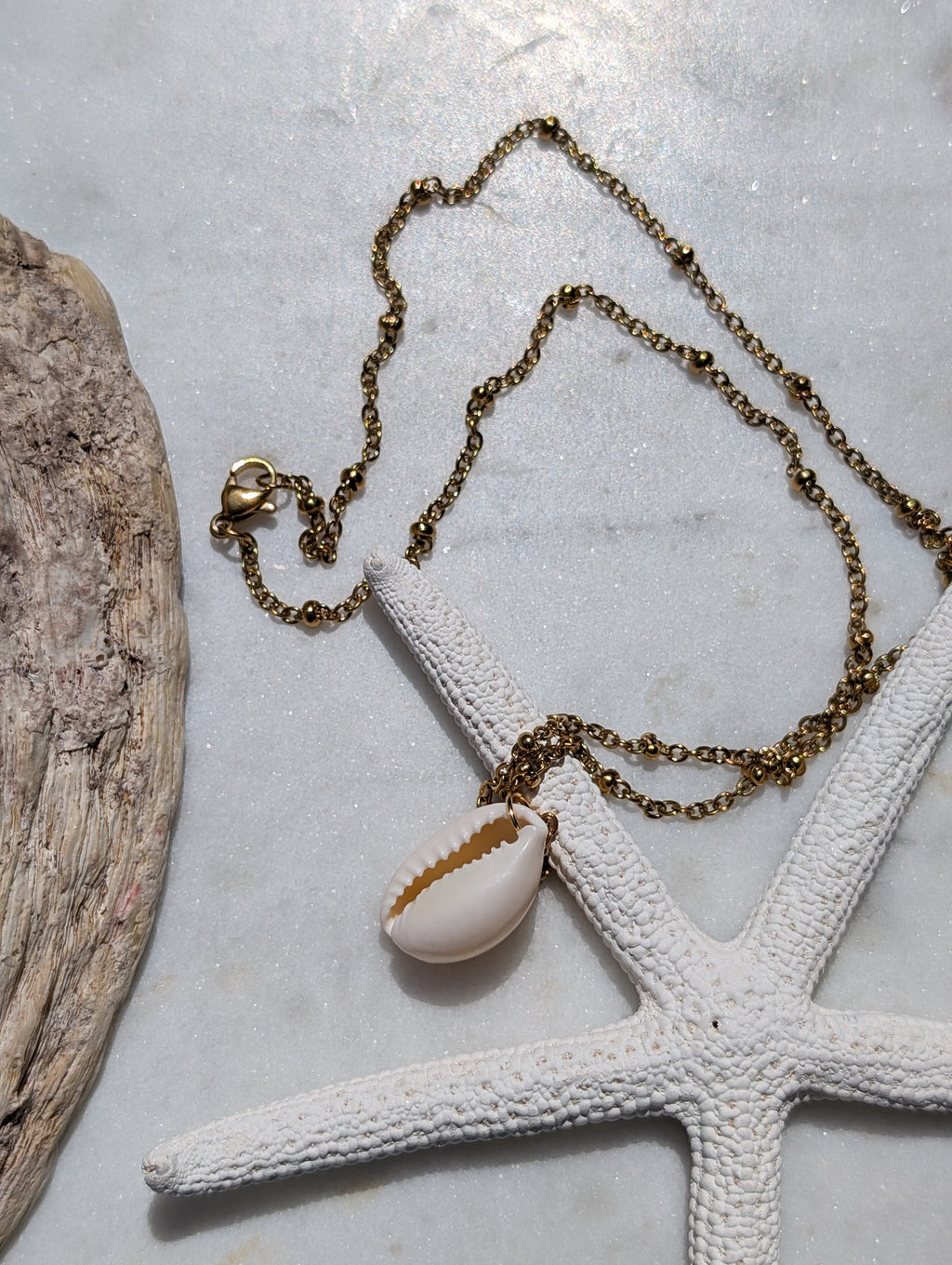 Muschelkette mit Kauri Muschel