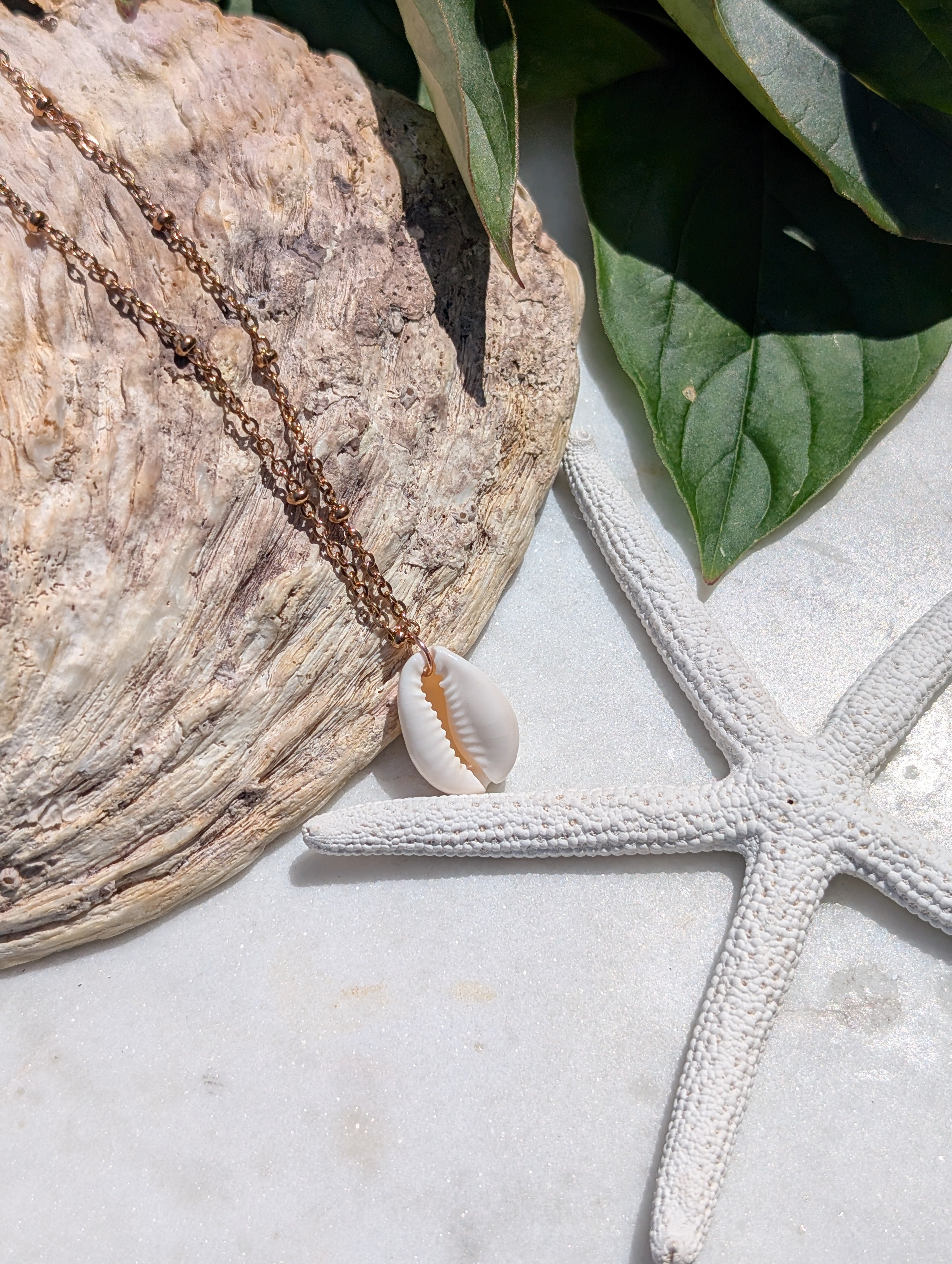 Muschelkette mit Kauri Muschel