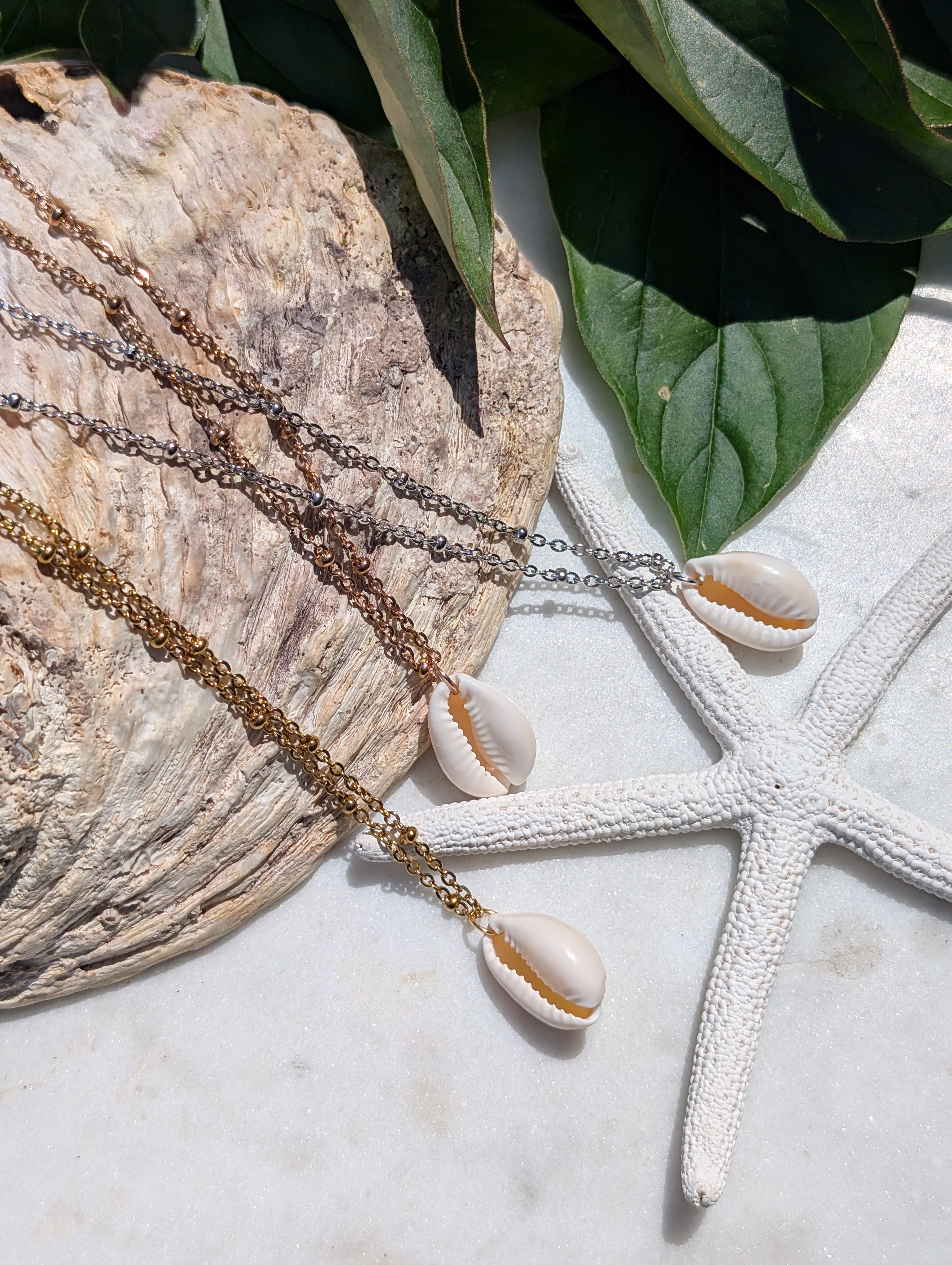 Muschelkette mit Kauri Muschel