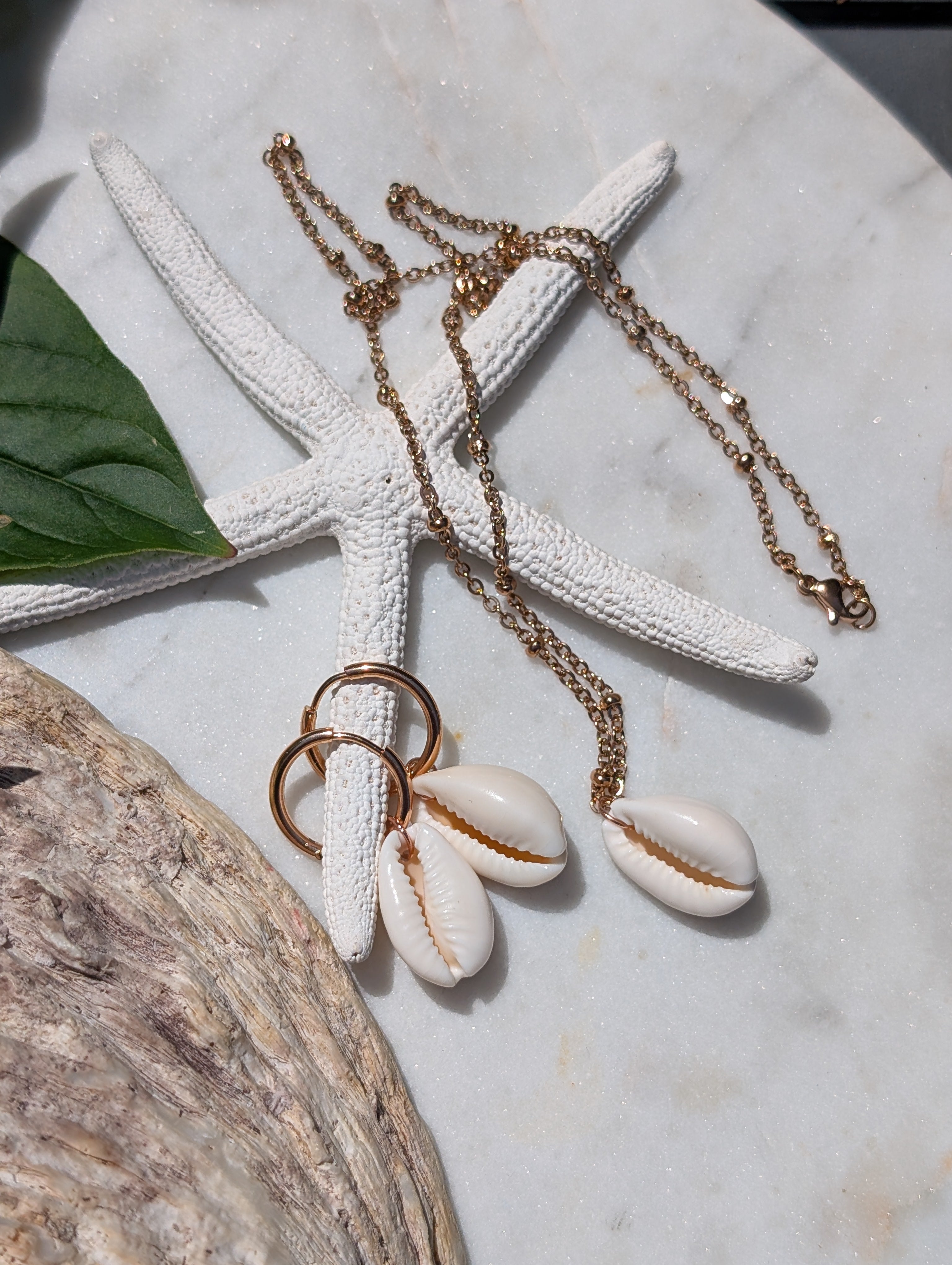 Muschelkette mit Kauri Muschel